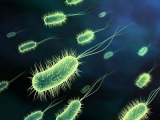 Estudo mostra que 750 mil mortes por bactérias resistentes a antibióticos poderiam ser evitadas